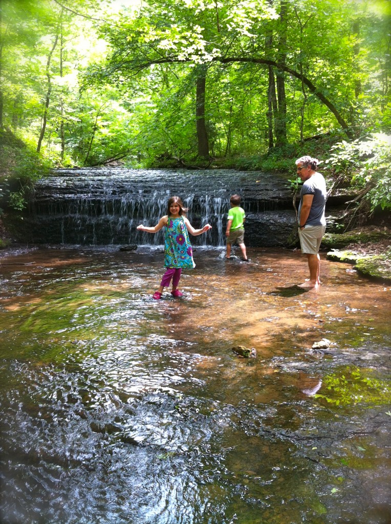 Stillhouse Hollow Falls