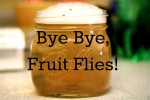 how to get rid of fruit flies