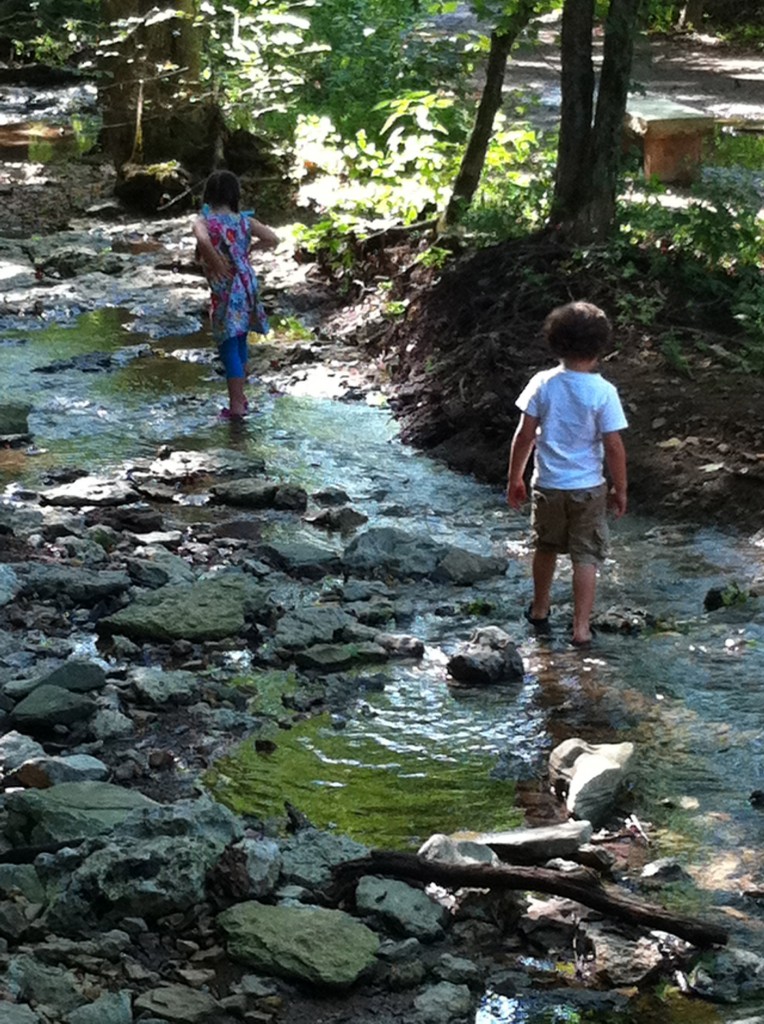 Creek_Wading