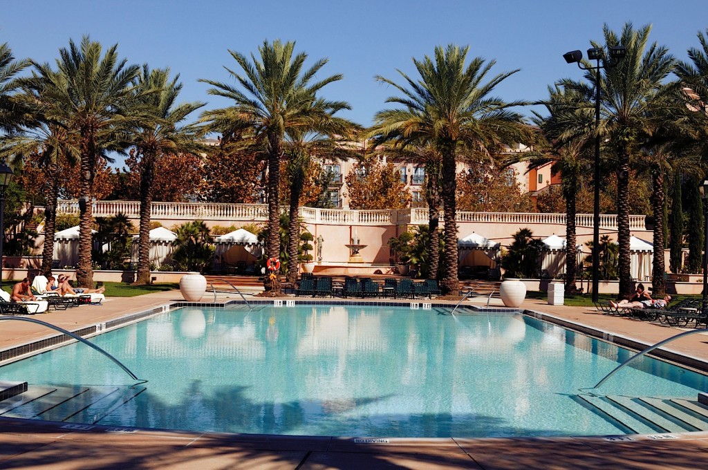 Loews-Portofino-Bay-Pool