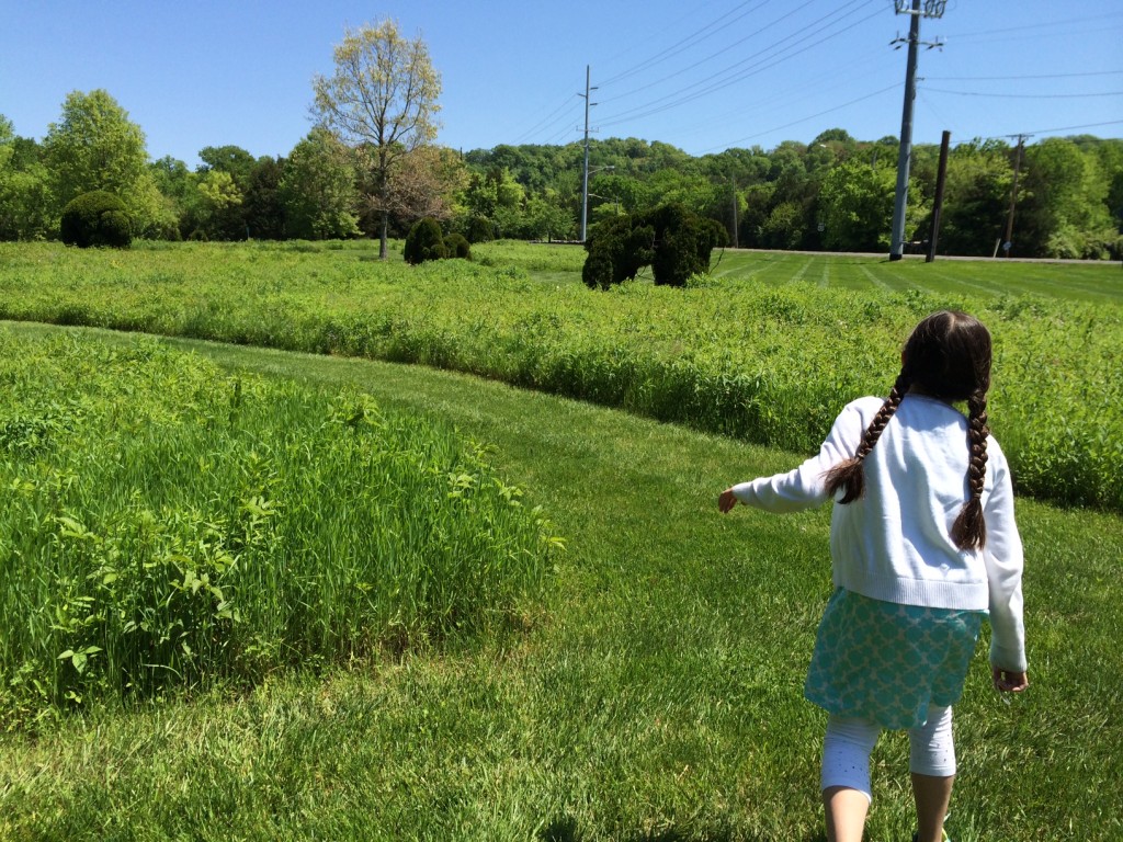 Bison Meadow Nashville