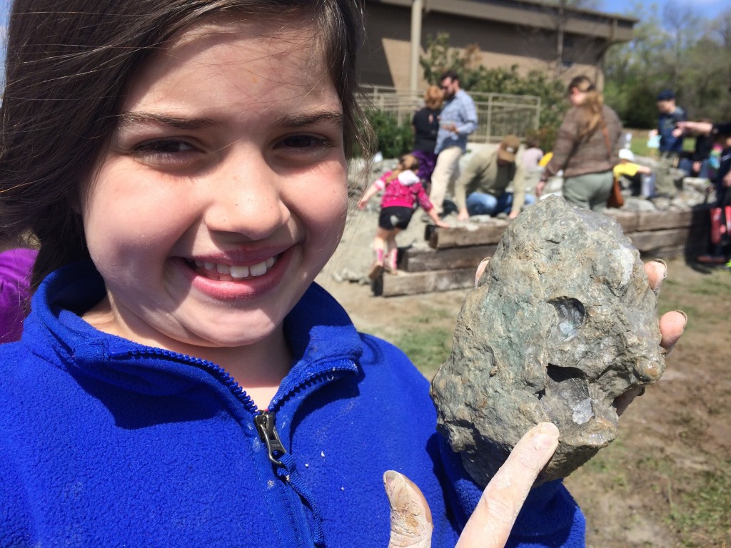 Fort Negley Fossil Day