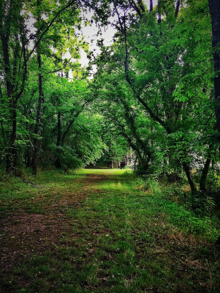 Port Royal Trail of Tears