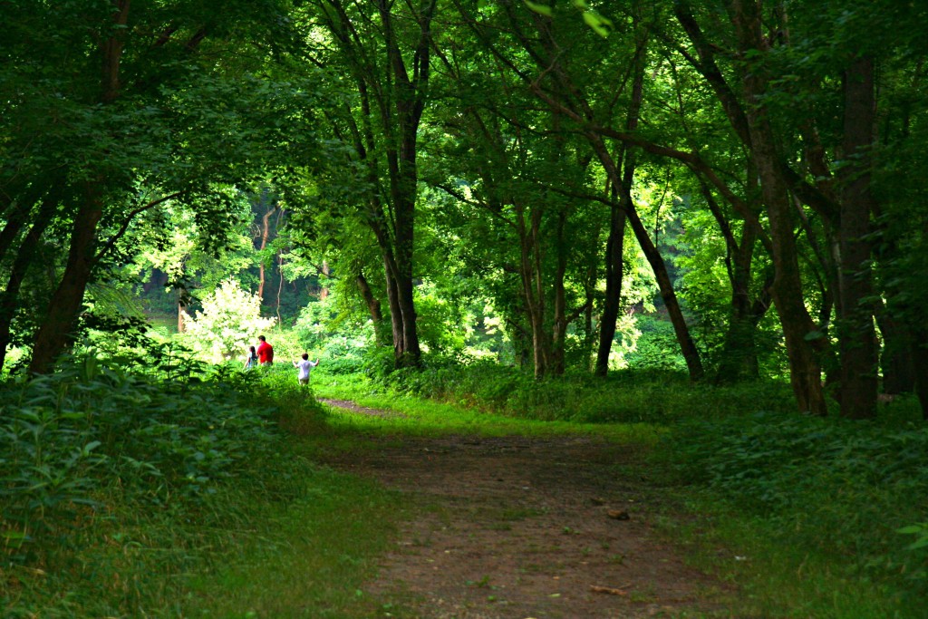 Port Royal Trail of Tears