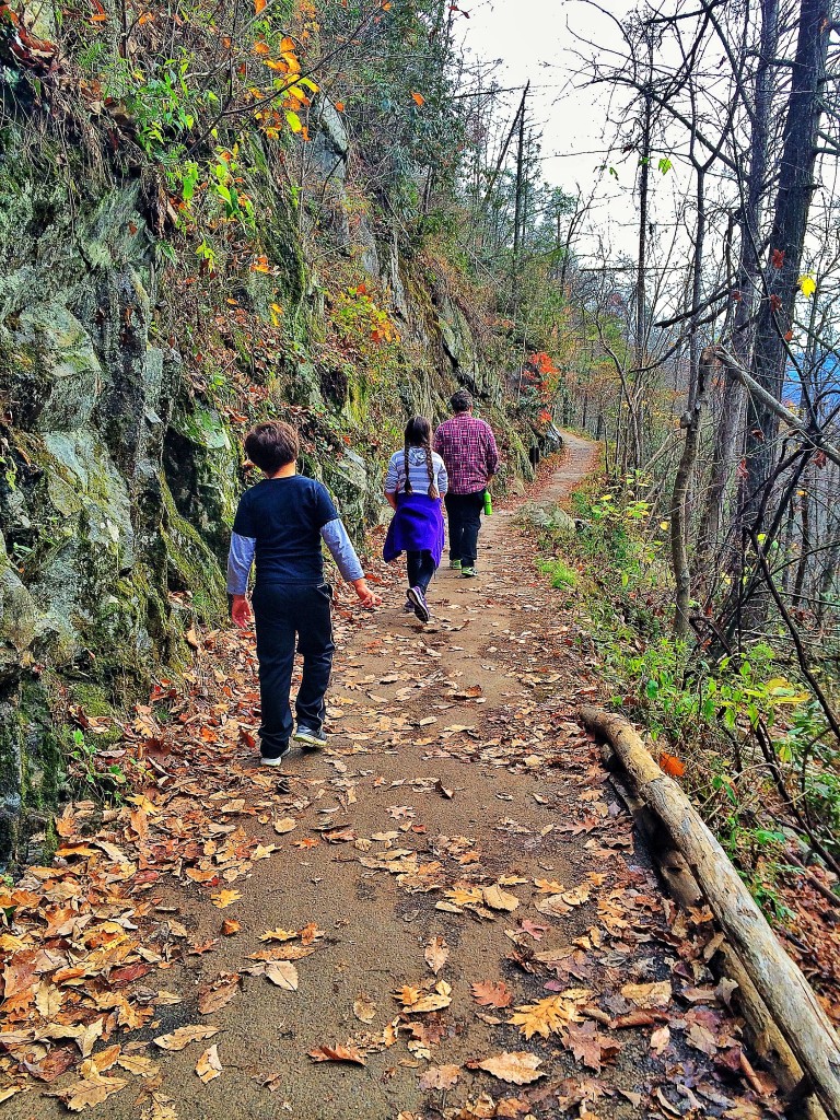 Laurel Falls Trail