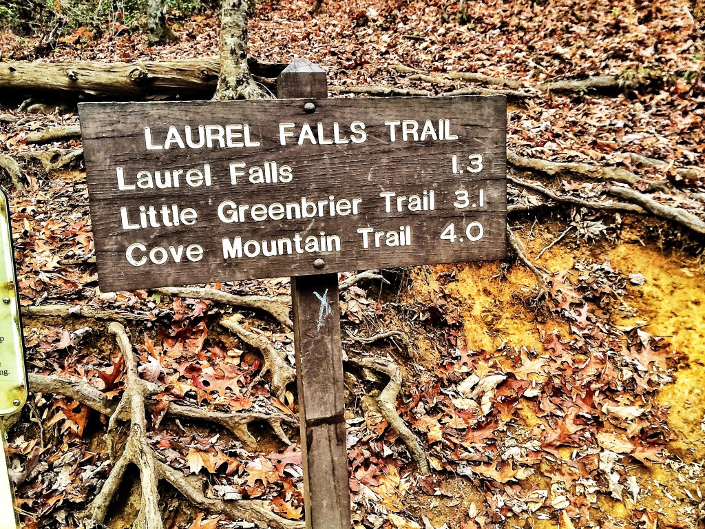 Laurel Falls Trail