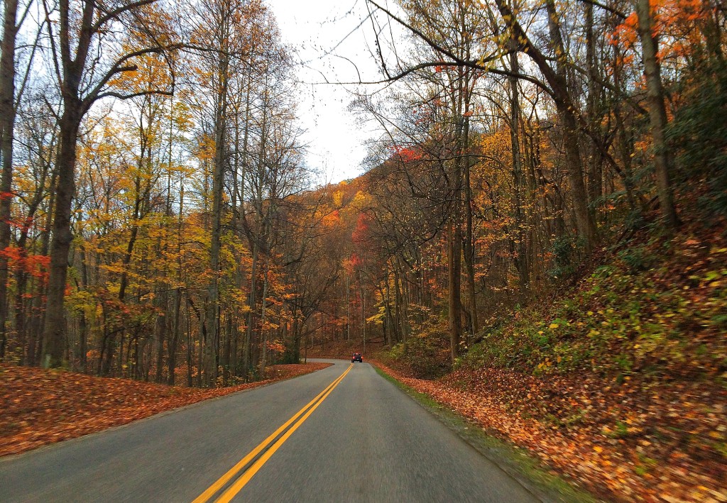 Smoky Mountains National Park