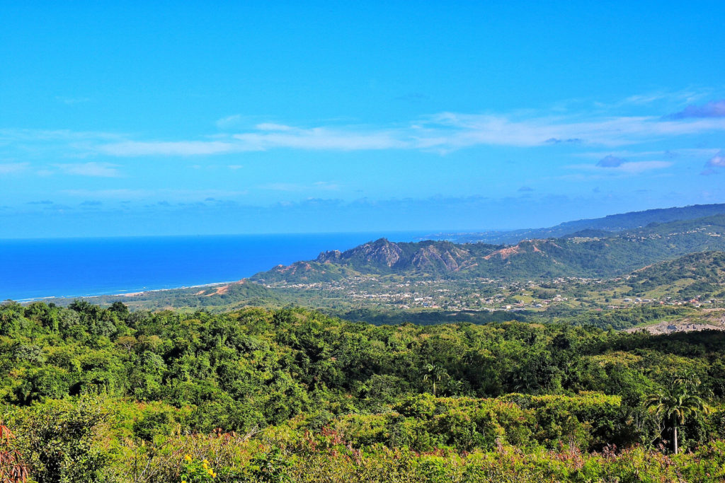 Barbados Shore Excursion Review