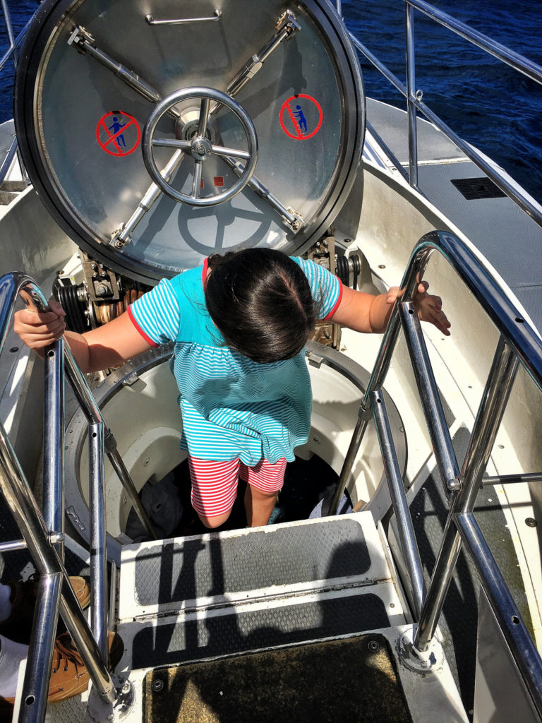 Submarine Ladder Barbados