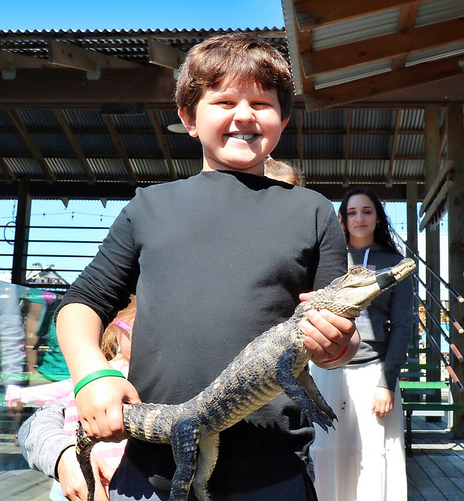 Alligator Adventure Photos
