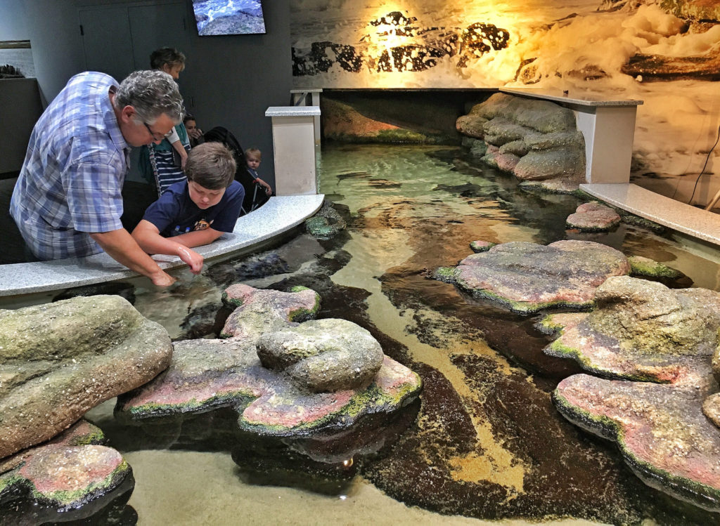 Aquarium at Fort Fisher