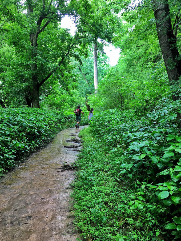 Tennessee Hikes