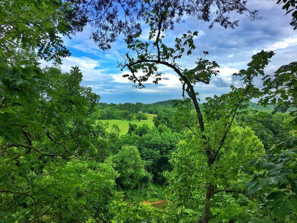 Best Nashville Short Hikes 