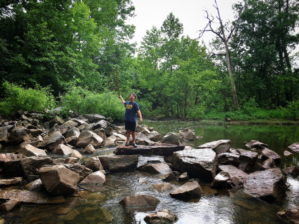 Narrows of the Harpeth Hike