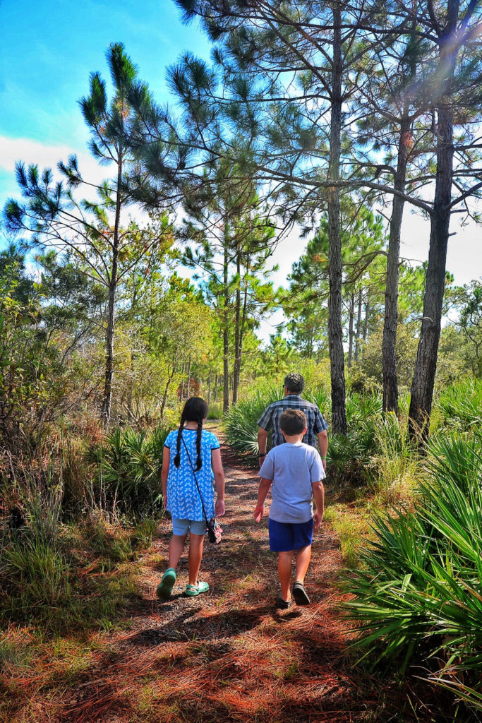 Hiking Trails in Panama City Beach