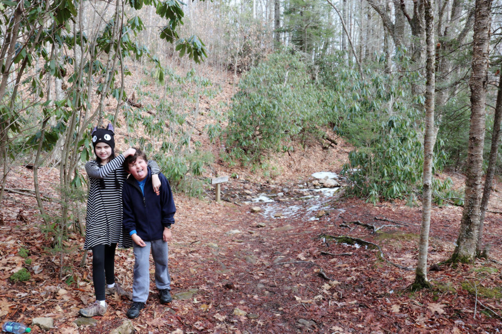 Hikes in Maggie Valley Area