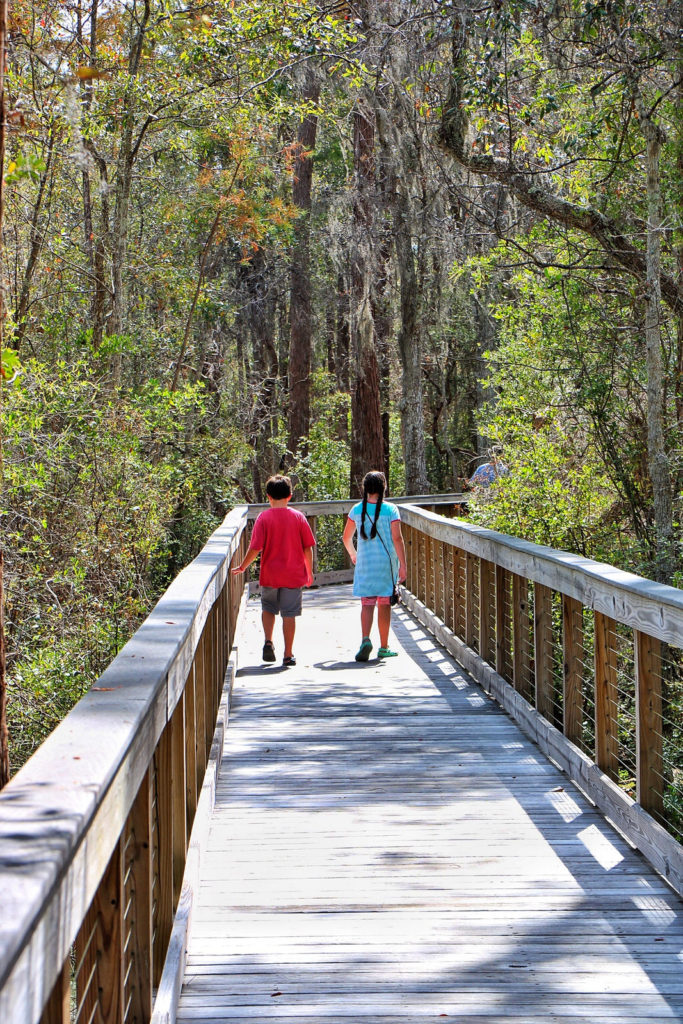 Best Hiking in Panama City Beach