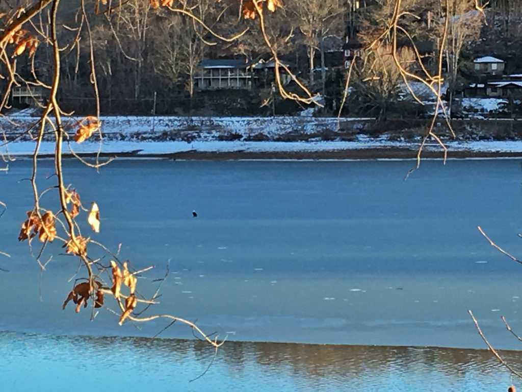 Lake Junaluska Walking Trail