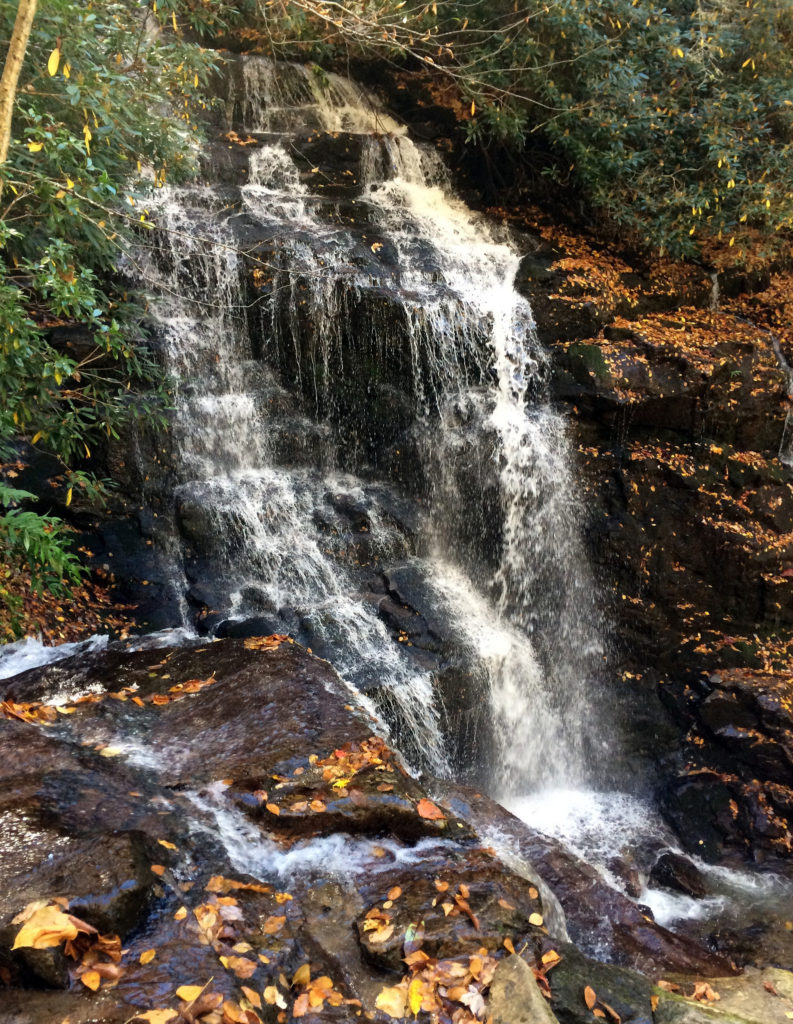 Hikes in Maggie Valley