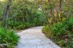 Bon Secour Wildlife Refuge
