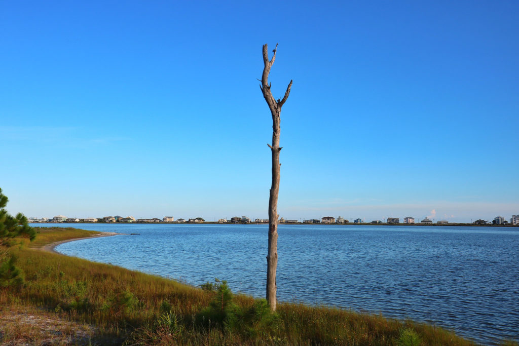 Little Lagoon Bon Secour Alabama