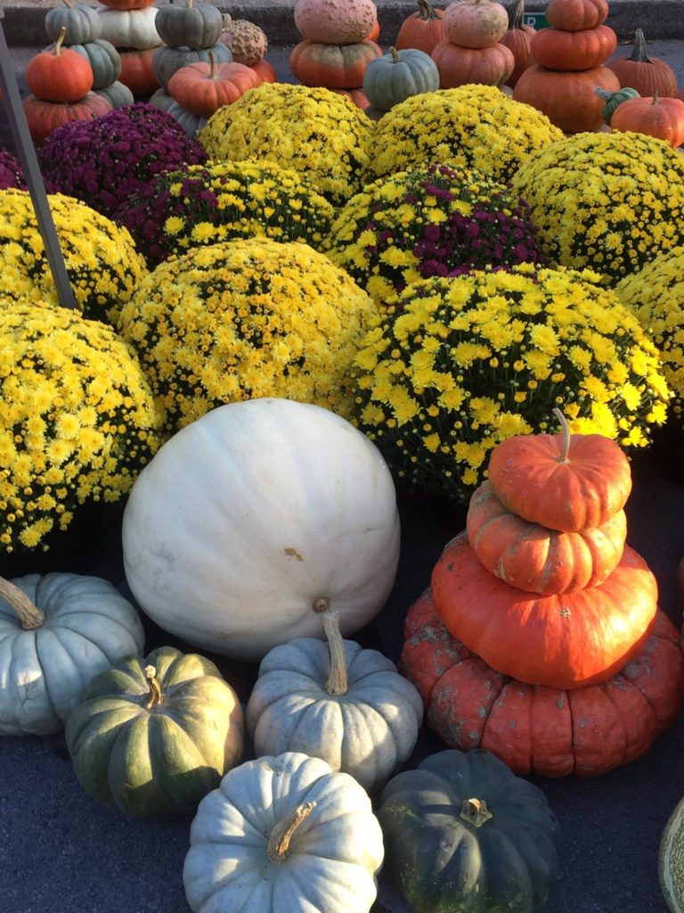 Rutherford County Farmers Markets