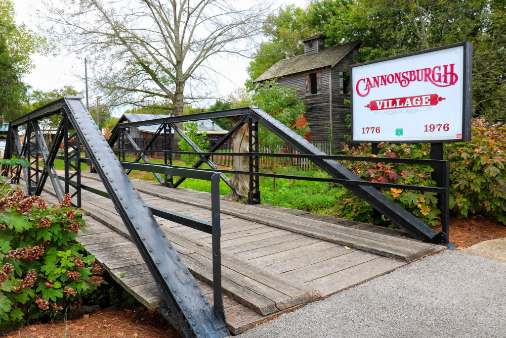 Monkey Woman Bridge Cannonsburgh VIllage