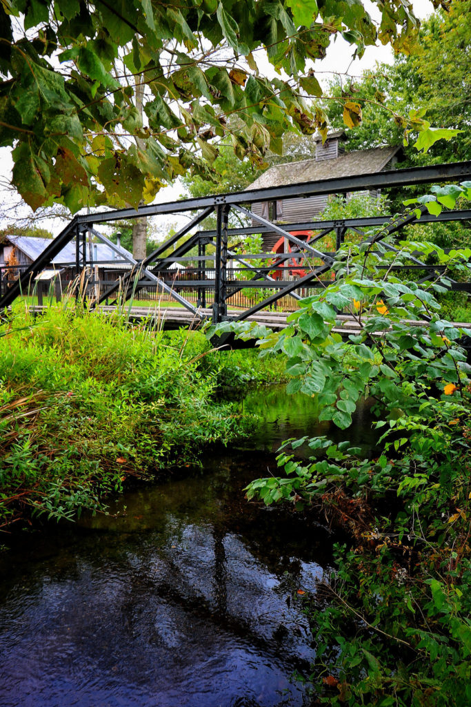 Monkey Woman Bridge Smyrna