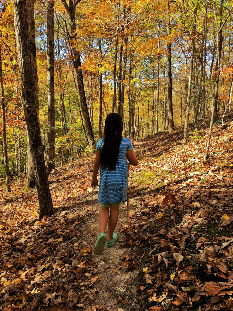 Great Nashville Hike