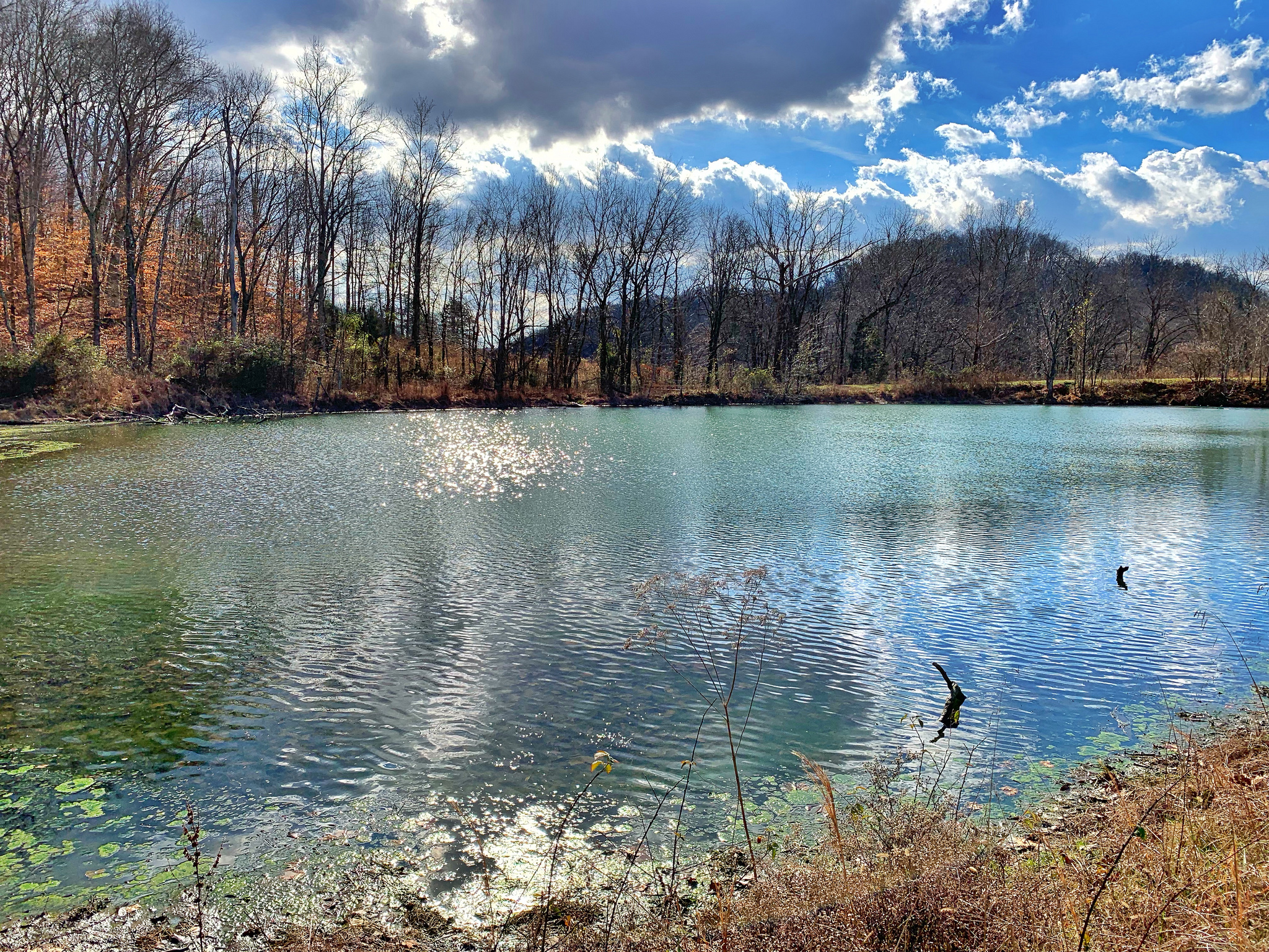 Best Nashville Hiking Trail