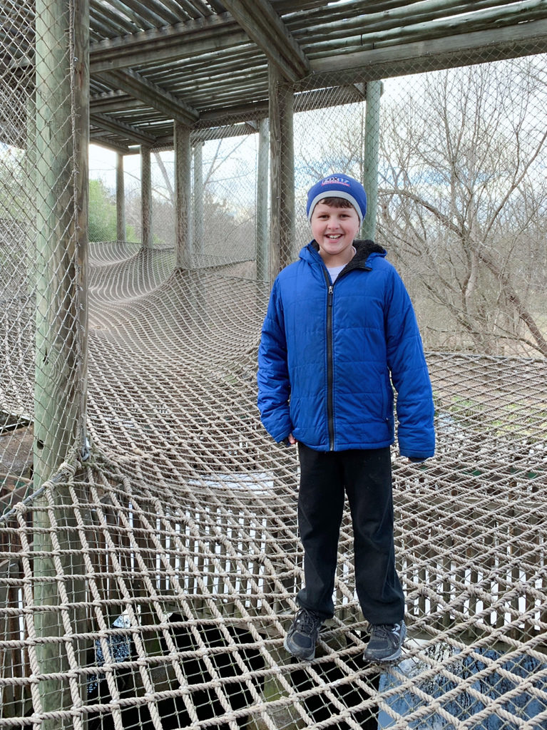 Nashville Zoo Rope Bridge