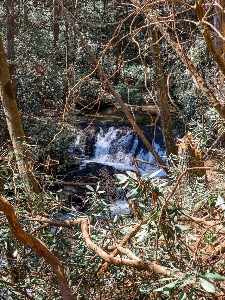 Raven Cliff Falls Trail for Families