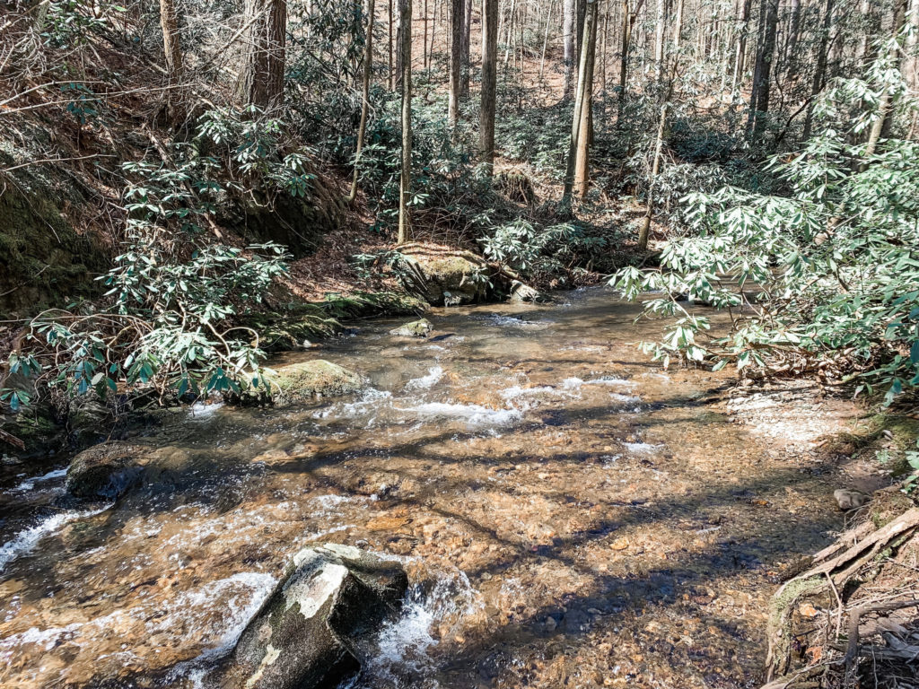 Raven Cliff Falls Trail Review