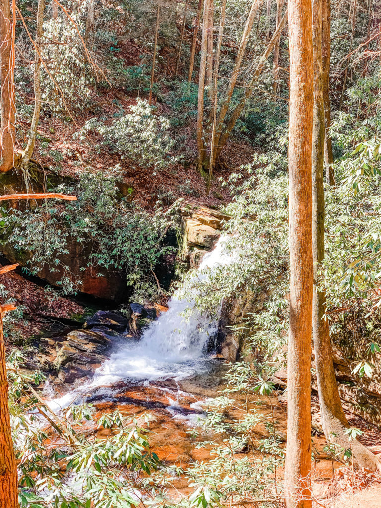 Raven Cliff Falls Waterfalls