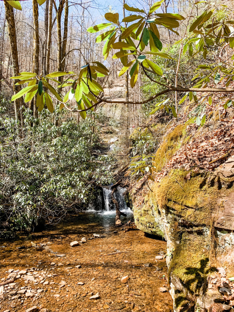 Raven Cliff Falls Trail Info