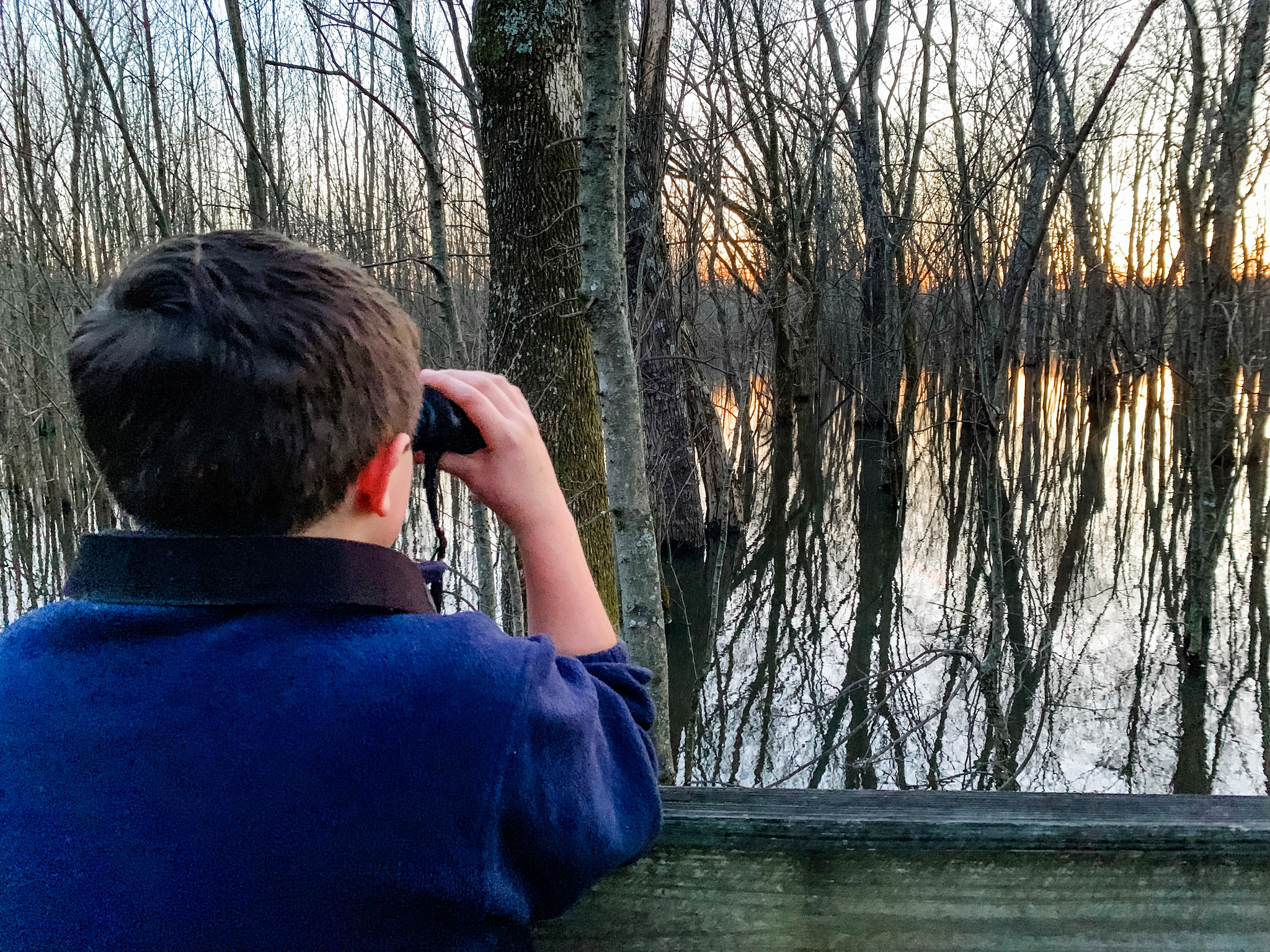 Shelby Bottoms Guided Hike