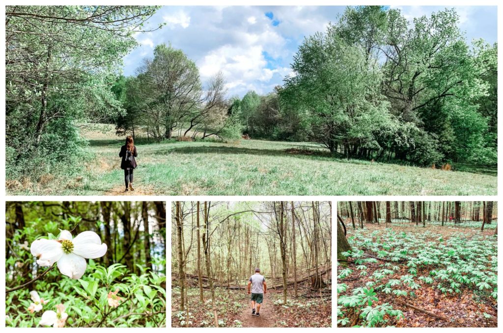 Dunbar Cave State Park Trails