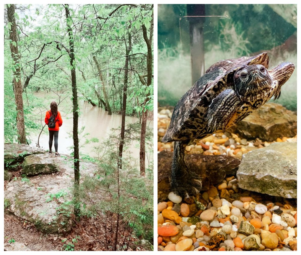 Barfield Crescent Park Programs Murfreesboro