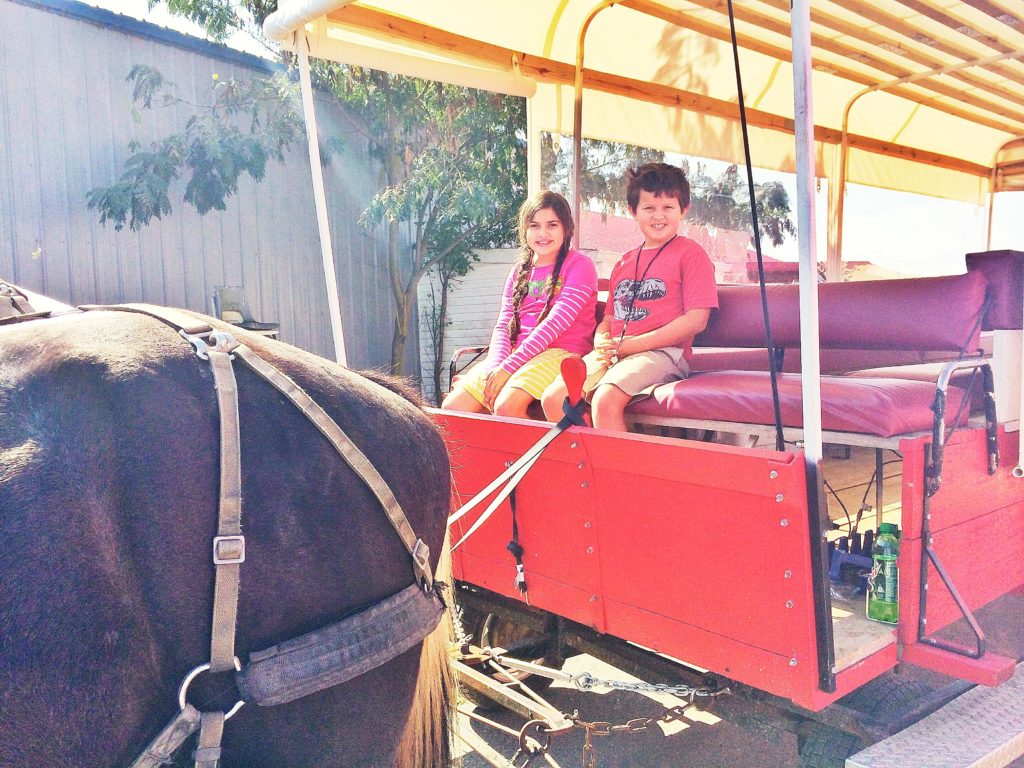 Tennessee Amish Wagon Tour