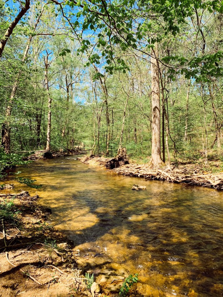 Montgomery Bell State Park