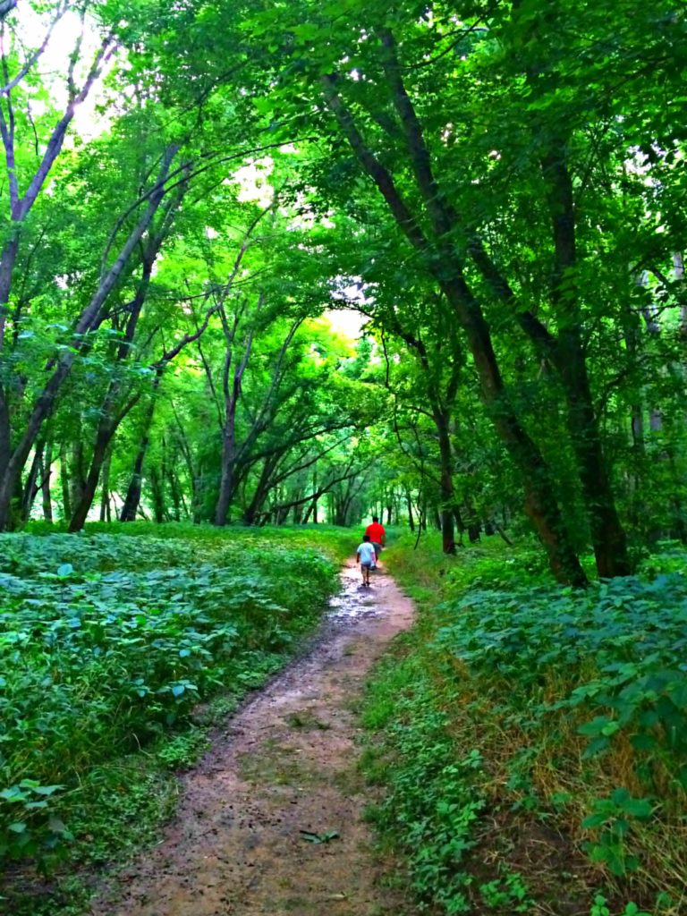 Trail of Tears Port Royal State Park