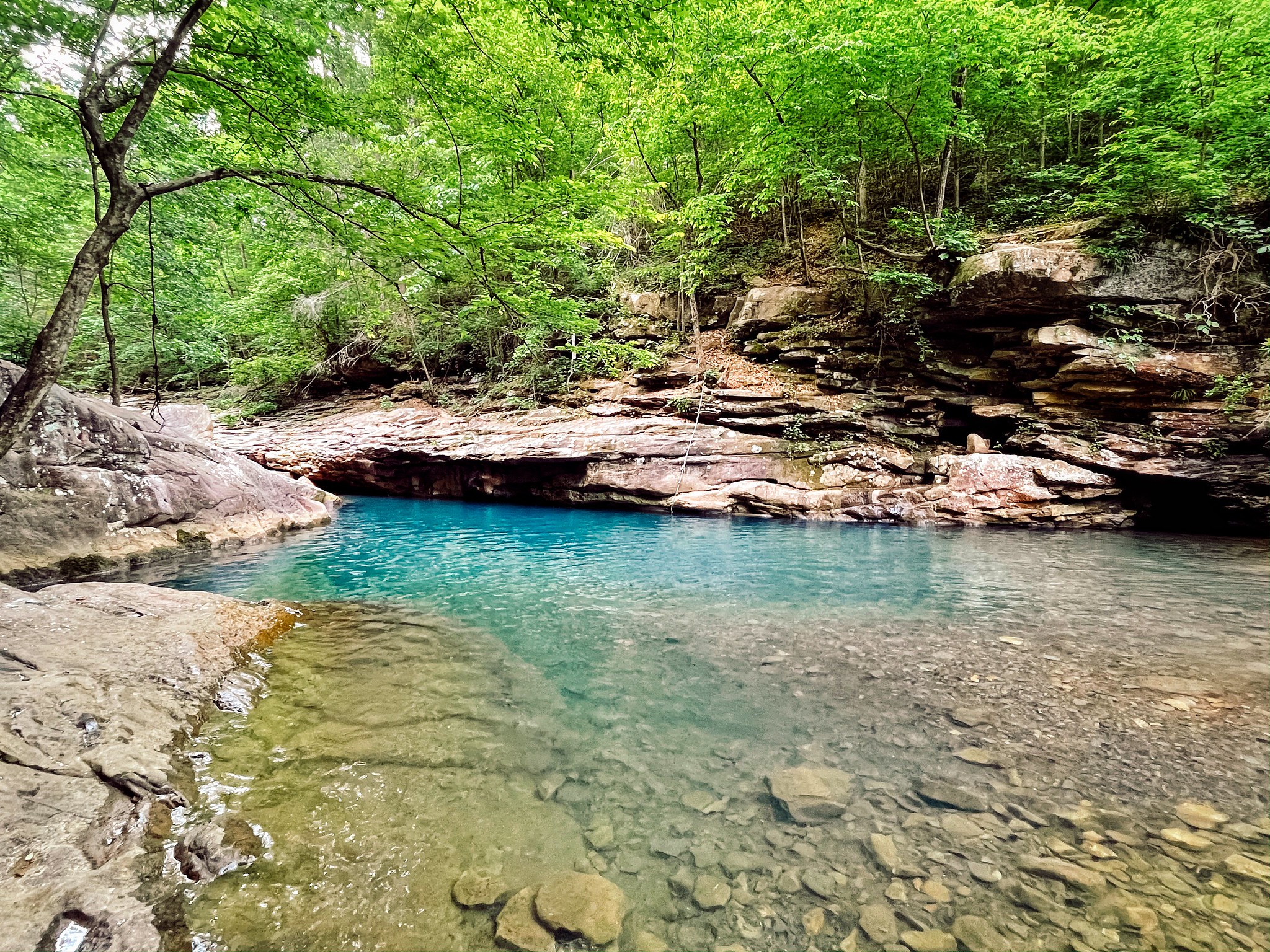 Chattanooga Blue Holes